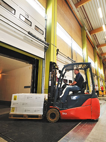 Robust dock levellers